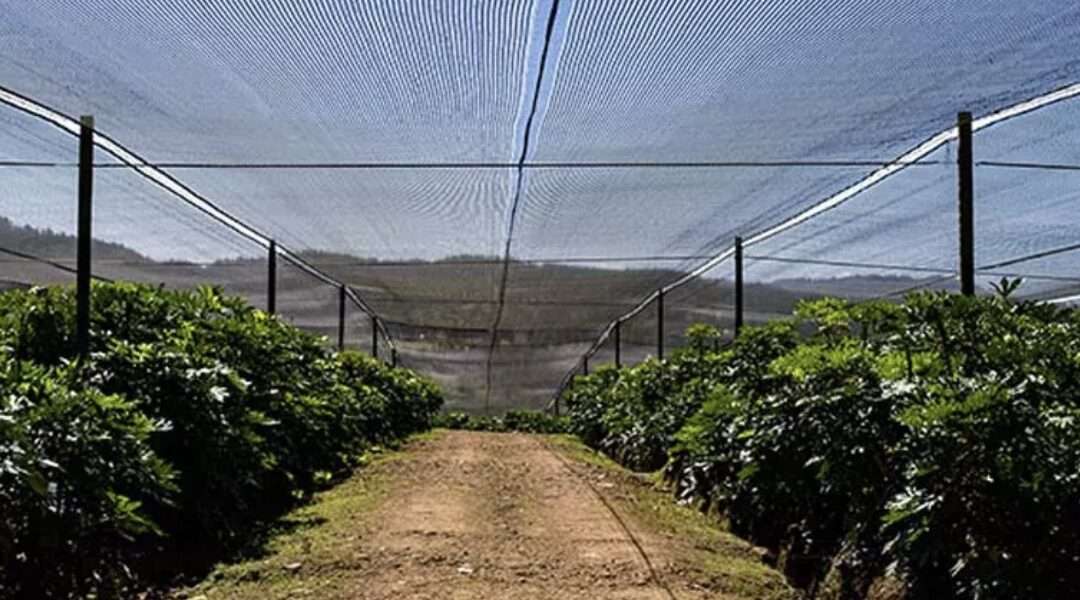 Sarán de polipropileno: Características y Usos