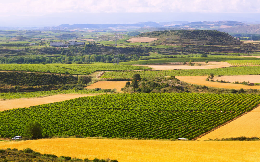 Protege tus cultivos de la erosión con productos hechos a base de polipropileno