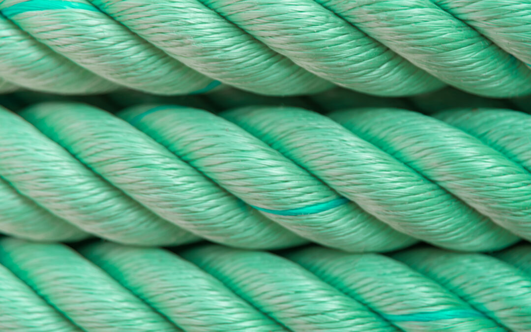 Lazo Torchado y Pita Agrícola: Sujeción Profesional para Cultivos