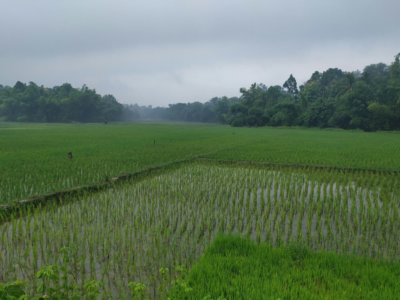 Protect Your Crops from Erosion During the Rainy Season with Geosacks and TrapBags