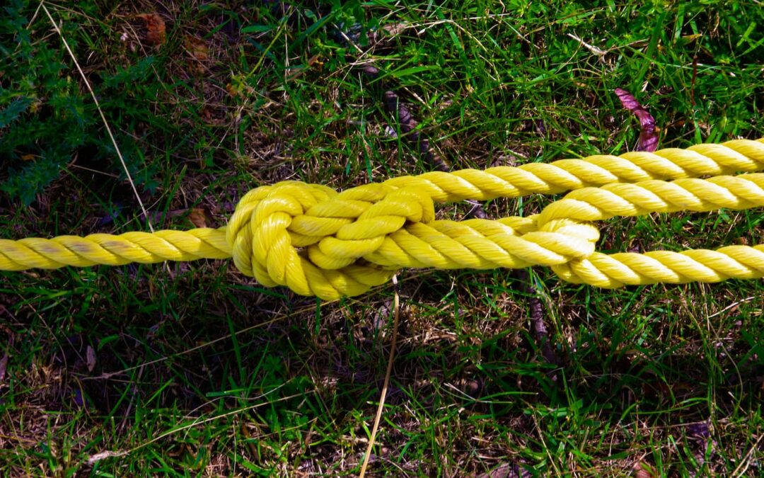 Discover Why Nylon Twine Is One of the Most Efficient Solutions for Protecting Your Crops