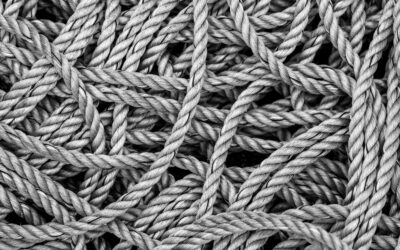 Learn More About the Advantages, Uses, and Applications of Twisted Nylon Rope in Agroindustrial Projects