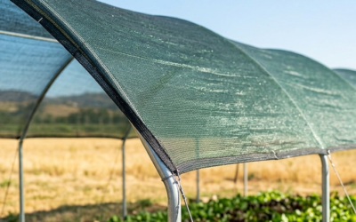 Practical Guide: What shade cloth color and percentage do you need for your crop?