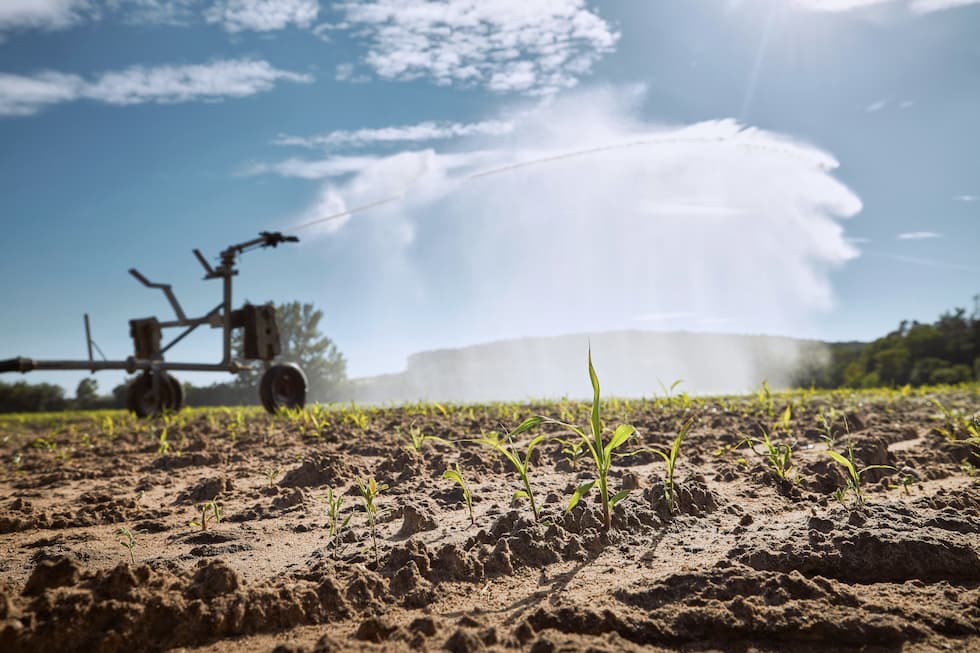 The Dry Spell in Guatemala: What It Is, When It Affects the Agribusiness Sector, and How to Prepare