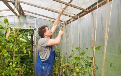 Heat Wave and Pests: How Anti virus mesh Netting Protects Your Crops from the July Insect Surge