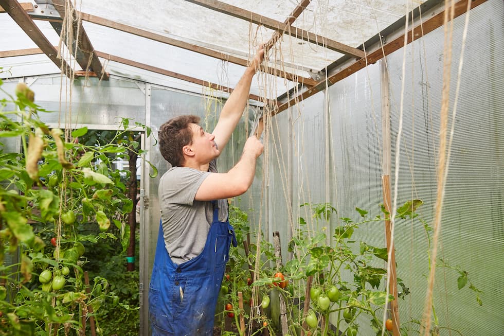 Heat Wave and Pests: How Anti virus mesh Netting Protects Your Crops from the July Insect Surge